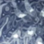 Koi-Dance-Close-Up.jpg