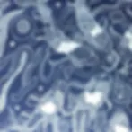 Blue-Koi-Fish-Batik.jpg